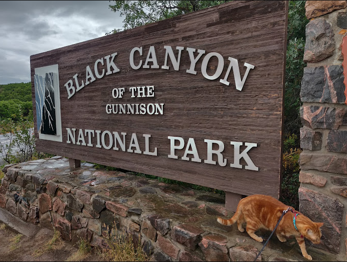 Black Canyon Of The Gunnison National Park