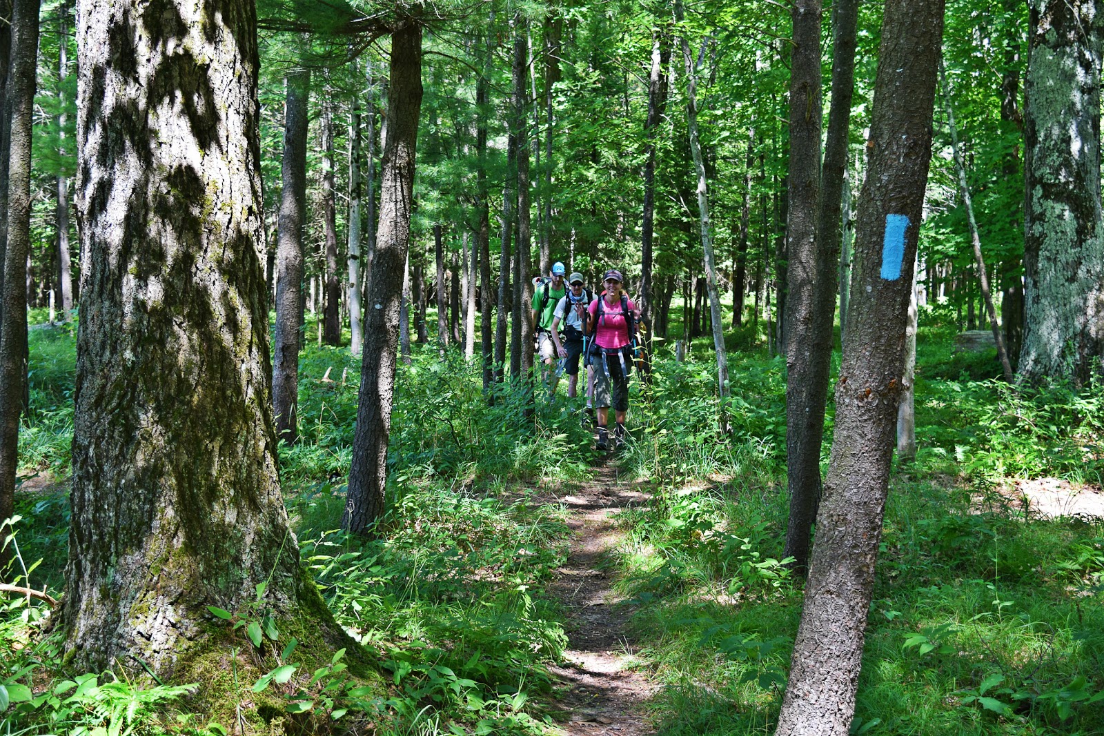 Old US 131 SF Campground