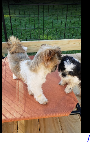 RUM RIVER CAMPGROUND LLC