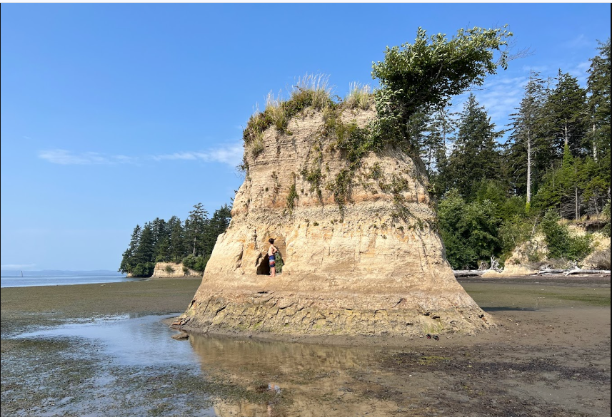 Bush Pioneer County Park Campground