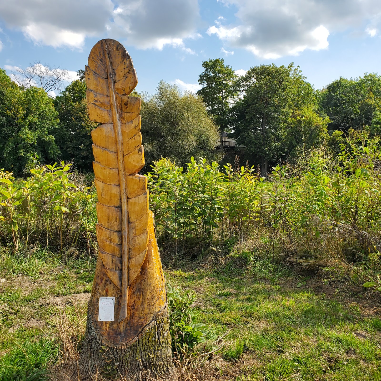 Chesaning Show Park Campground