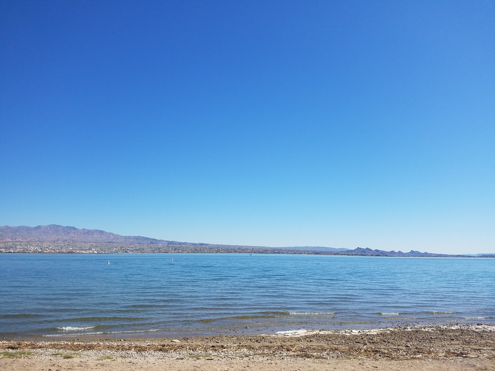 Havasu Landing Resort Campground