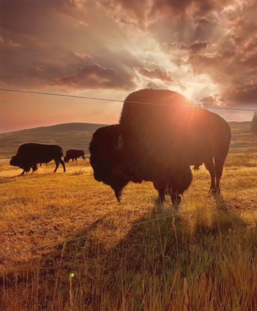 Bear River Campground