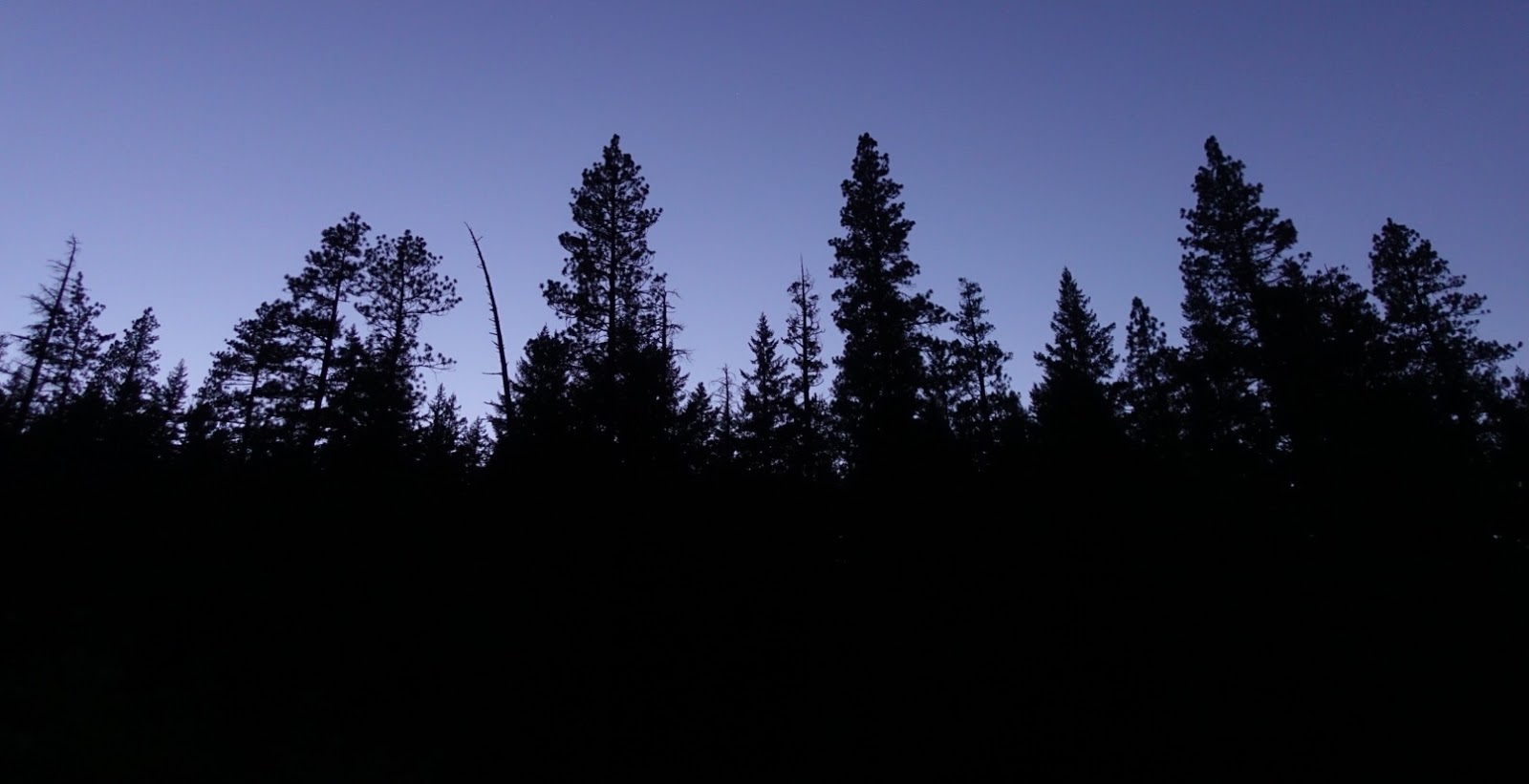 Pioneer Ford Campground