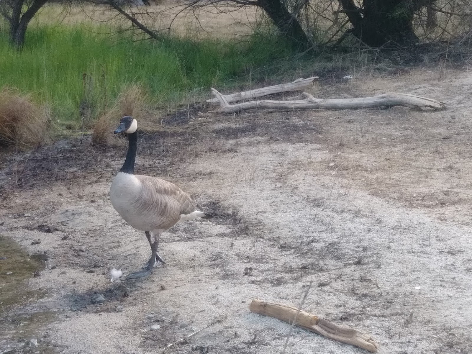 Clark Springs Campground