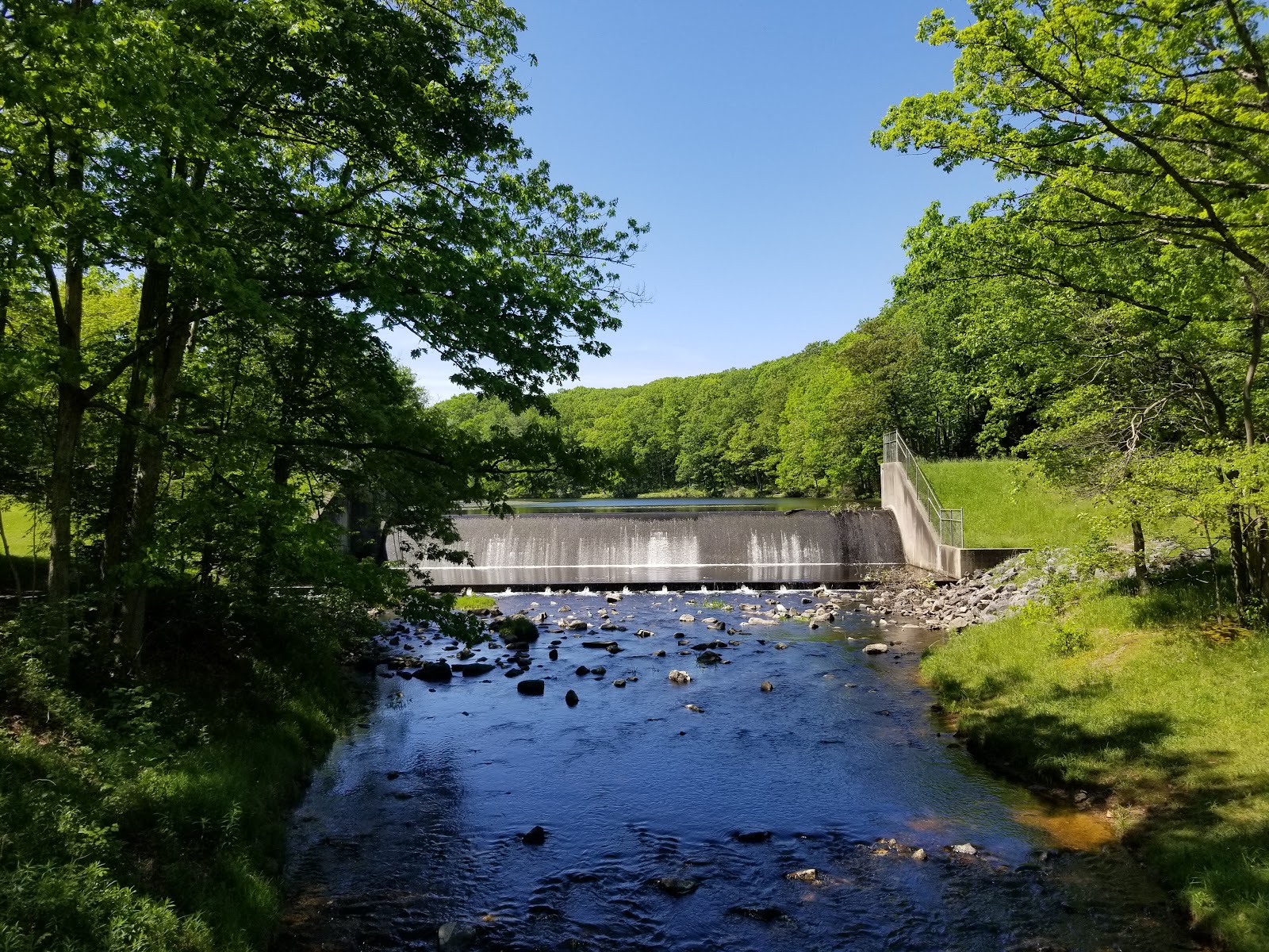 Black Moshannon State Park