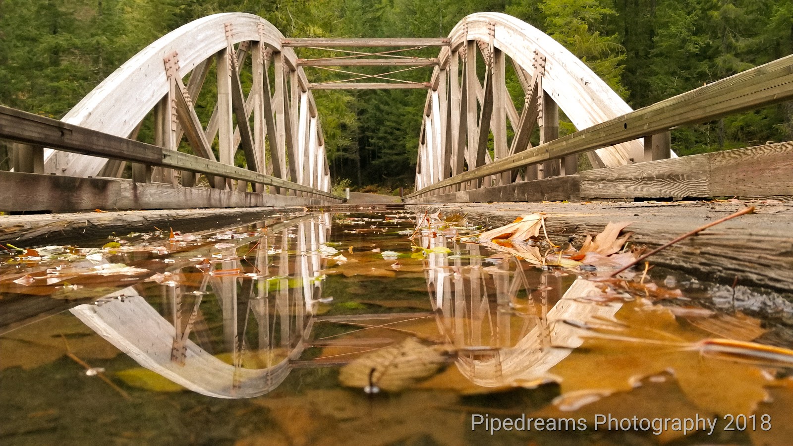 Shady Cove Campground