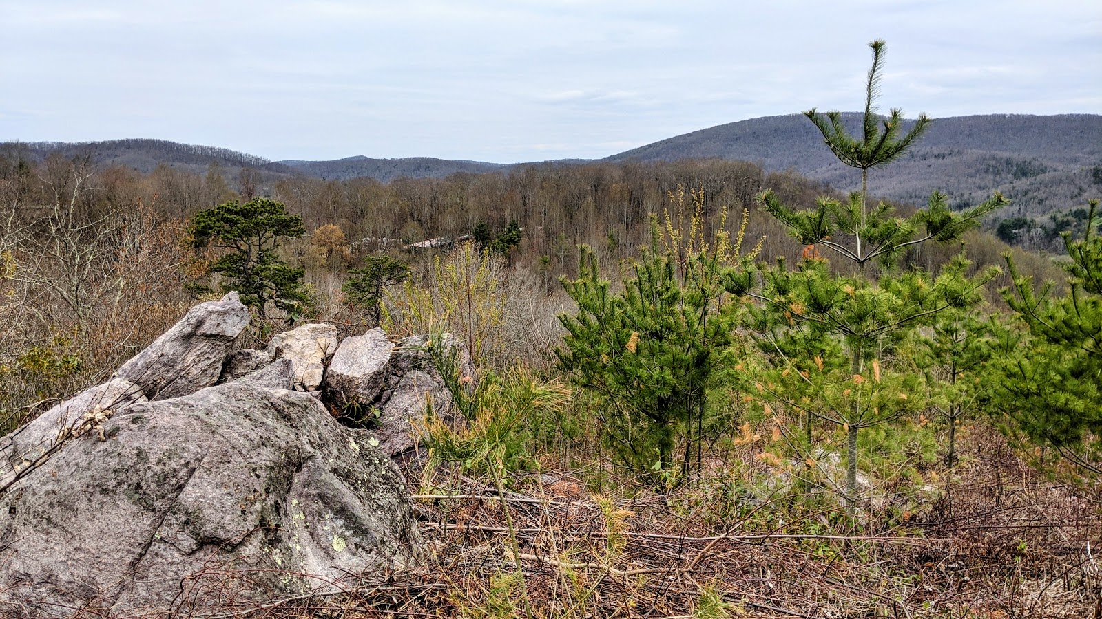 Rocky Hollow Horse Camp