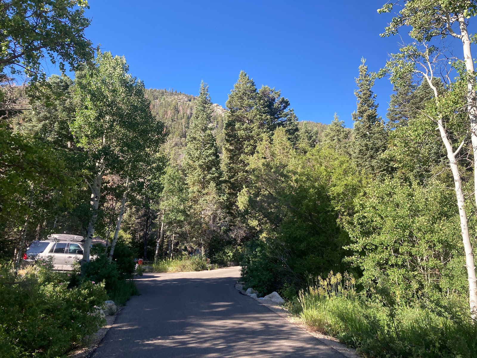 Upper Lehman Creek Campground