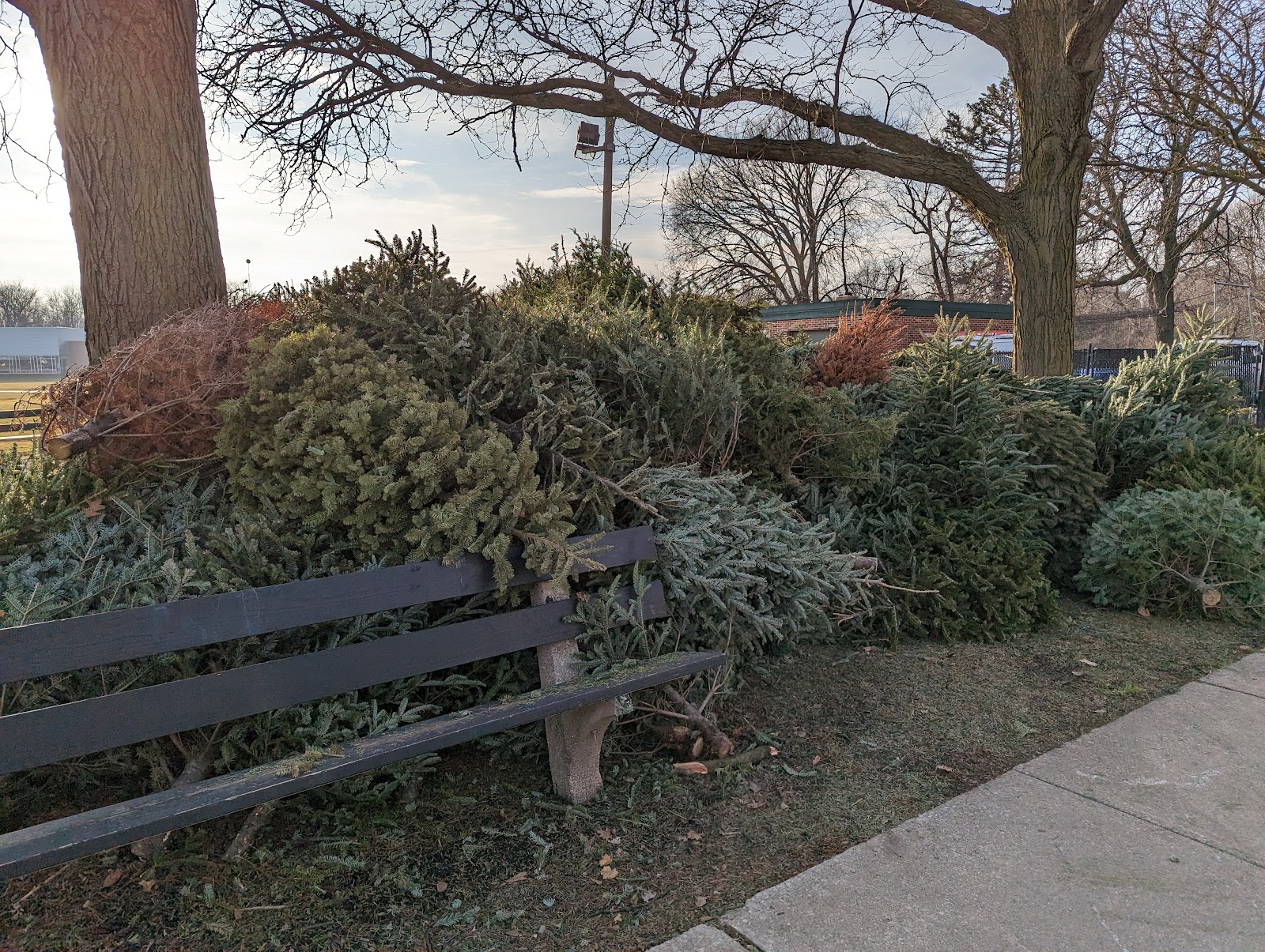 Norwood Park Dog Park