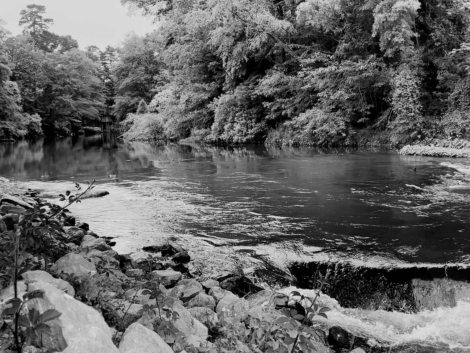 Okatoma canoe Rental