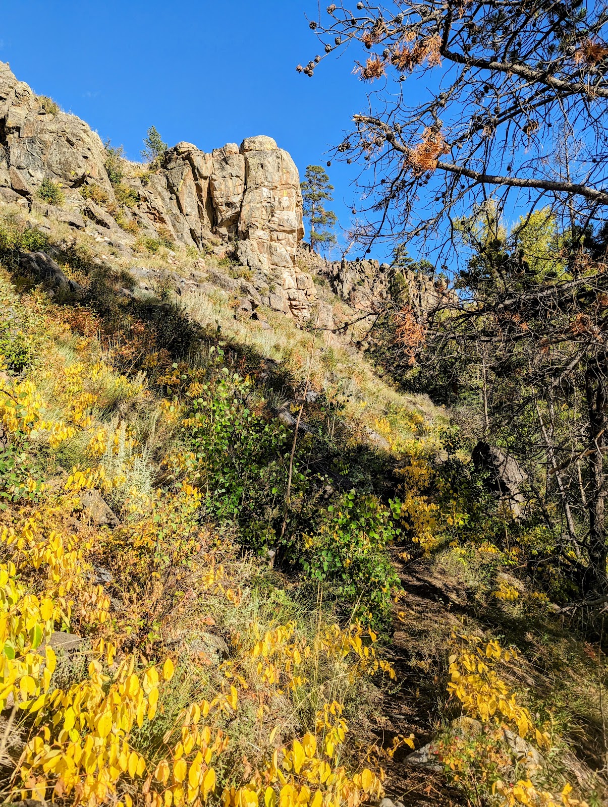 Pike Pole Campground