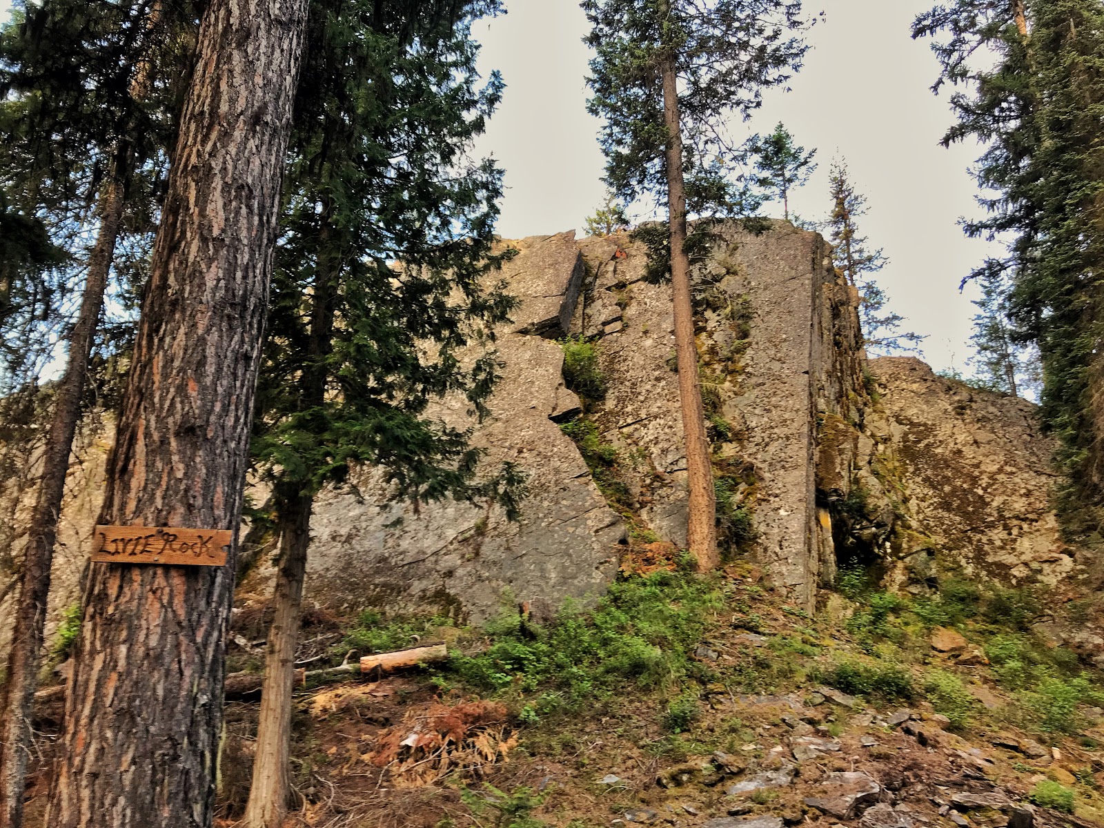 Pete Creek Campground