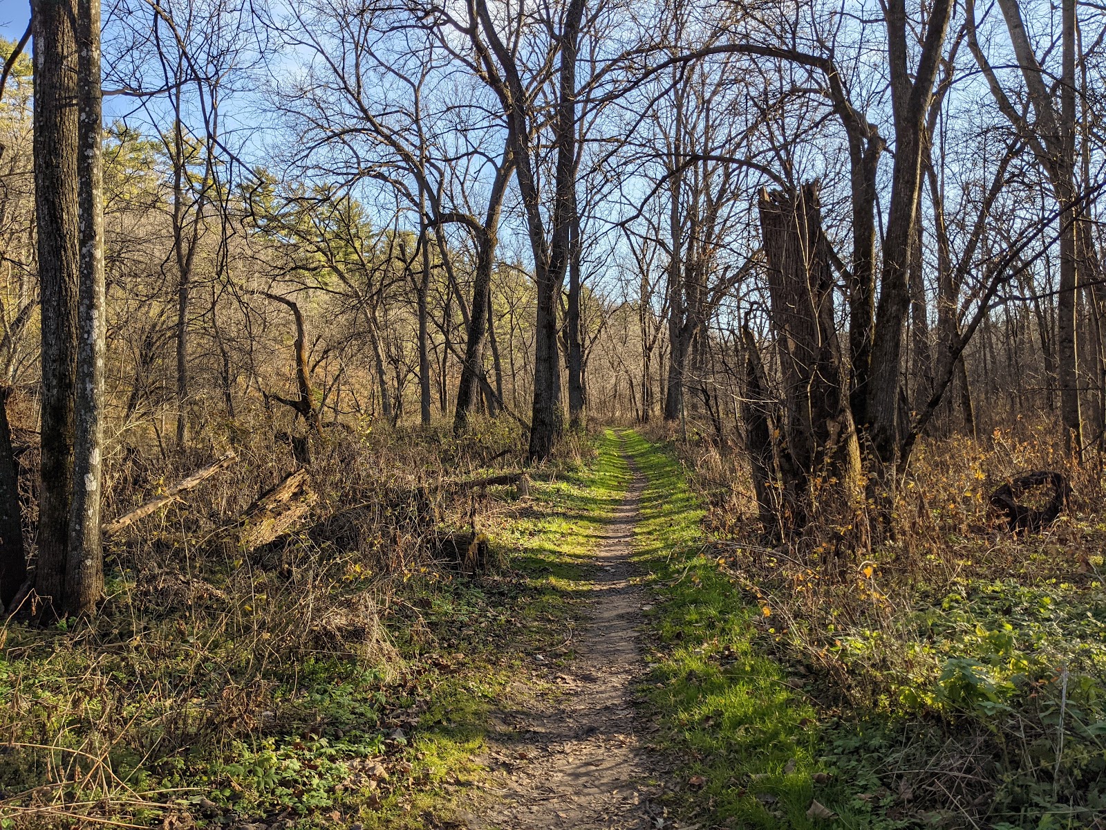 Carley State Park Campground