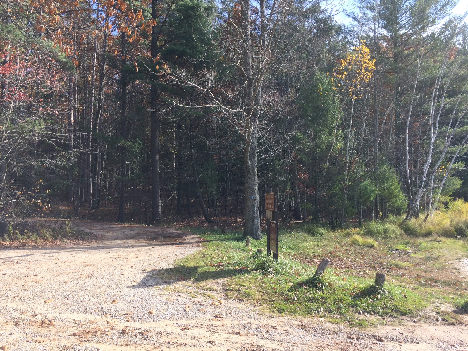Guernsey Lake SF Campground