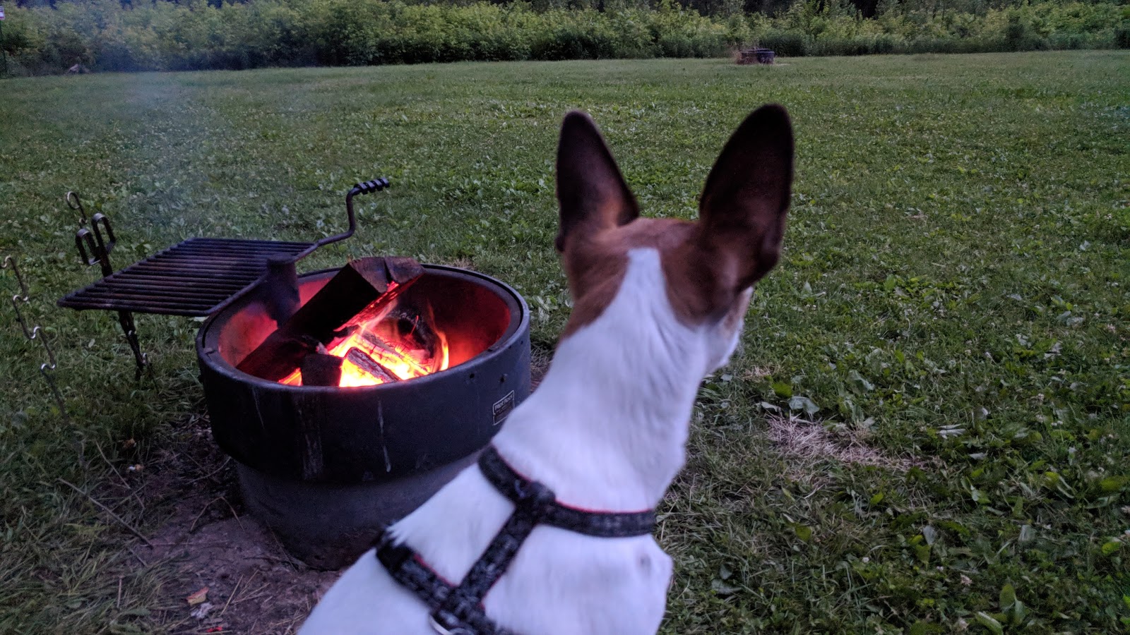 Zumbro Bottoms Campground