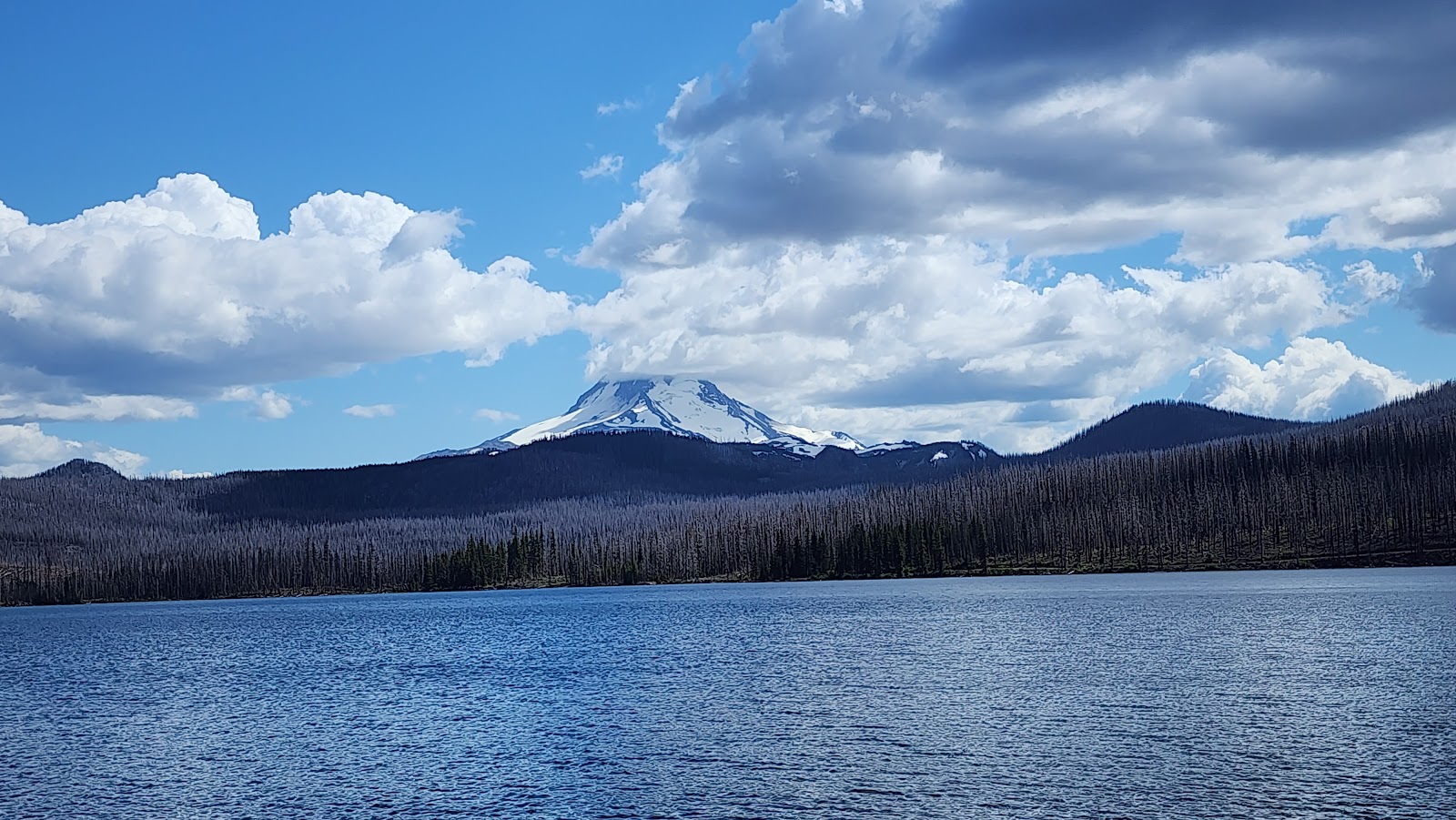 Olallie Lake Resort