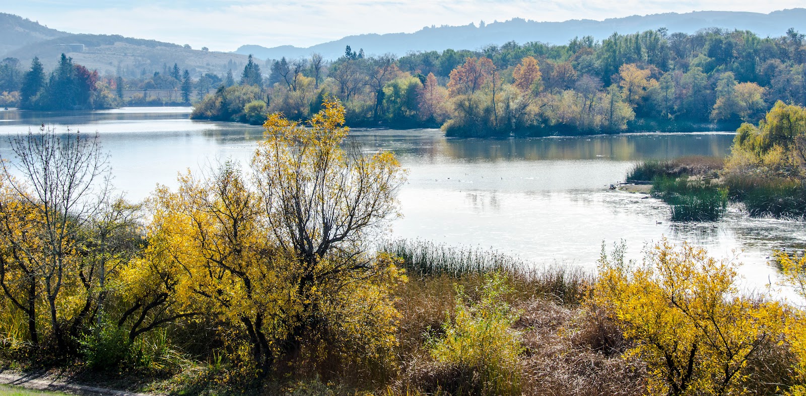 Spring Lake Regional Park