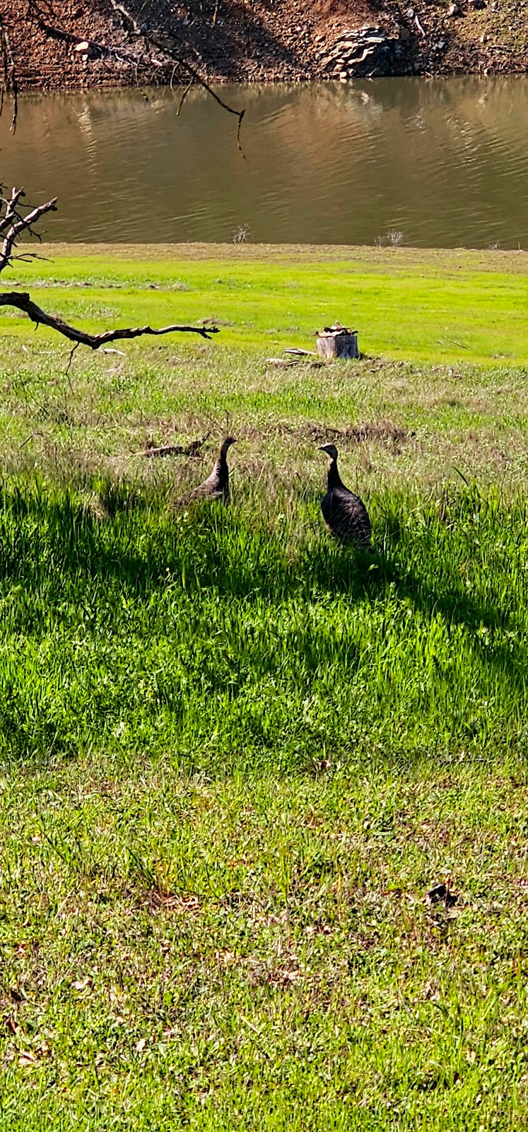 Horseshoe Bend Recreation Area