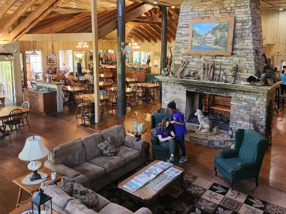 Banning Mills Treehouses Camping