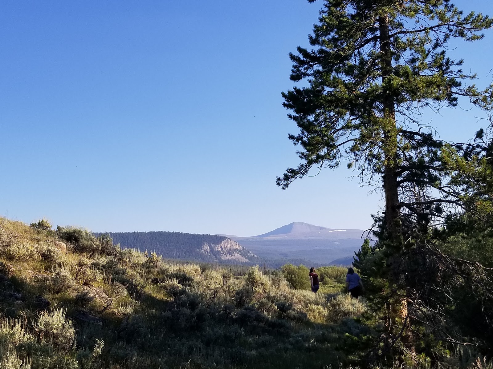 Henrys Fork Trailhead Campground