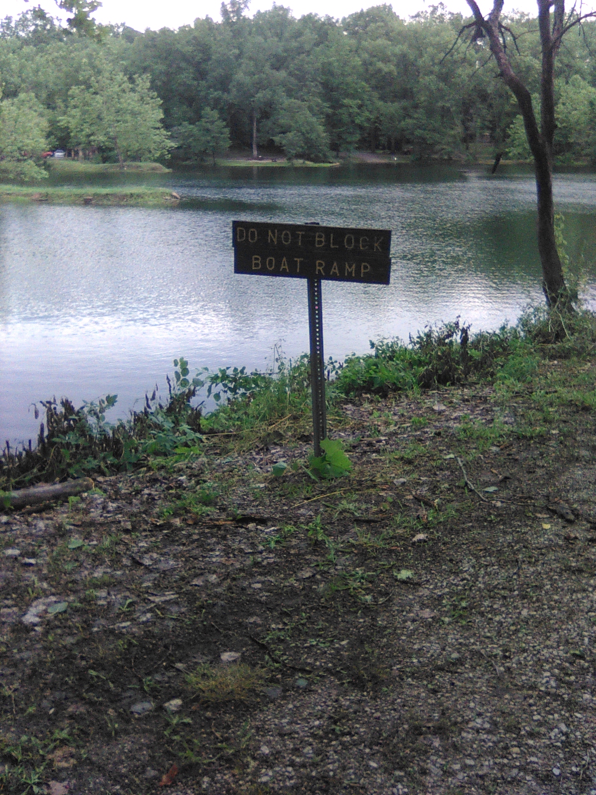 Greene Sullivan State Forest