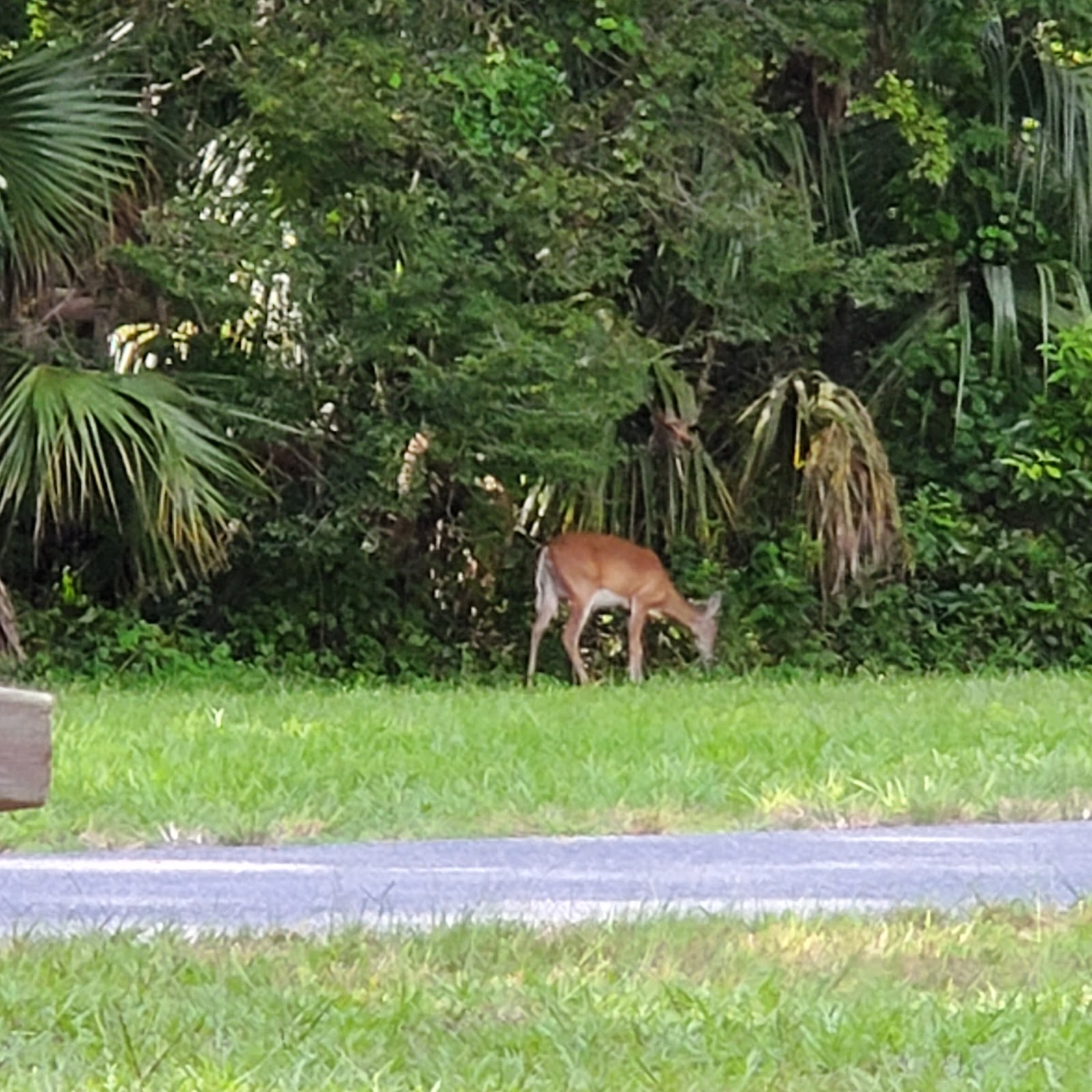 Battle Creek RV Park