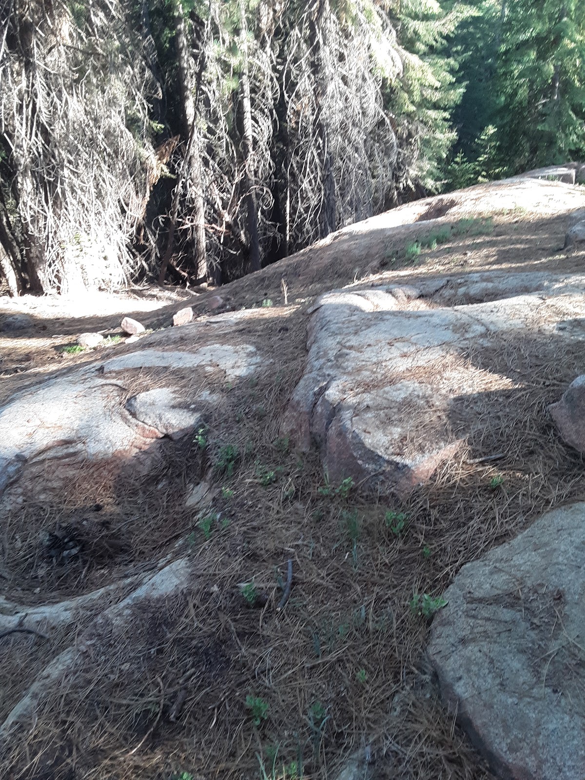 Peppermint Campground