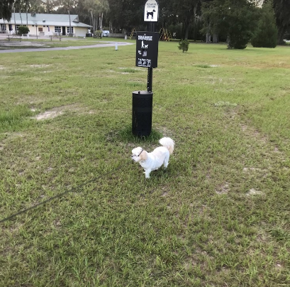 KOA Holiday Jennings