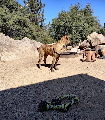 Oakzanita Springs RV Campground