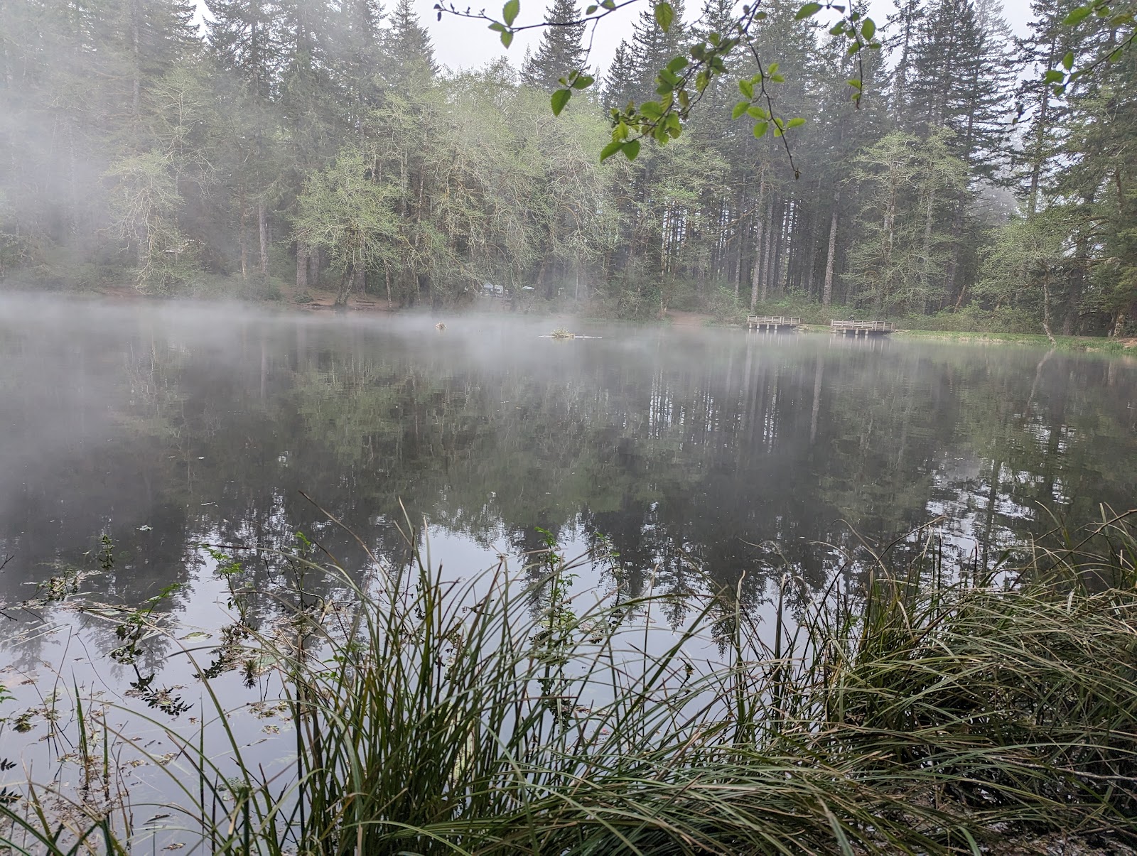 Hebo Lake Campground