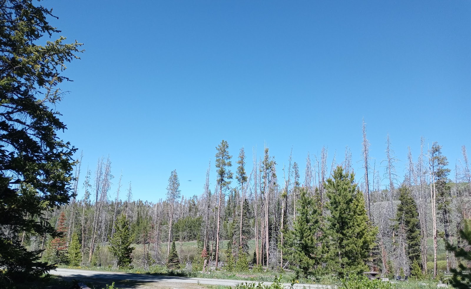 Jack Creek Campground