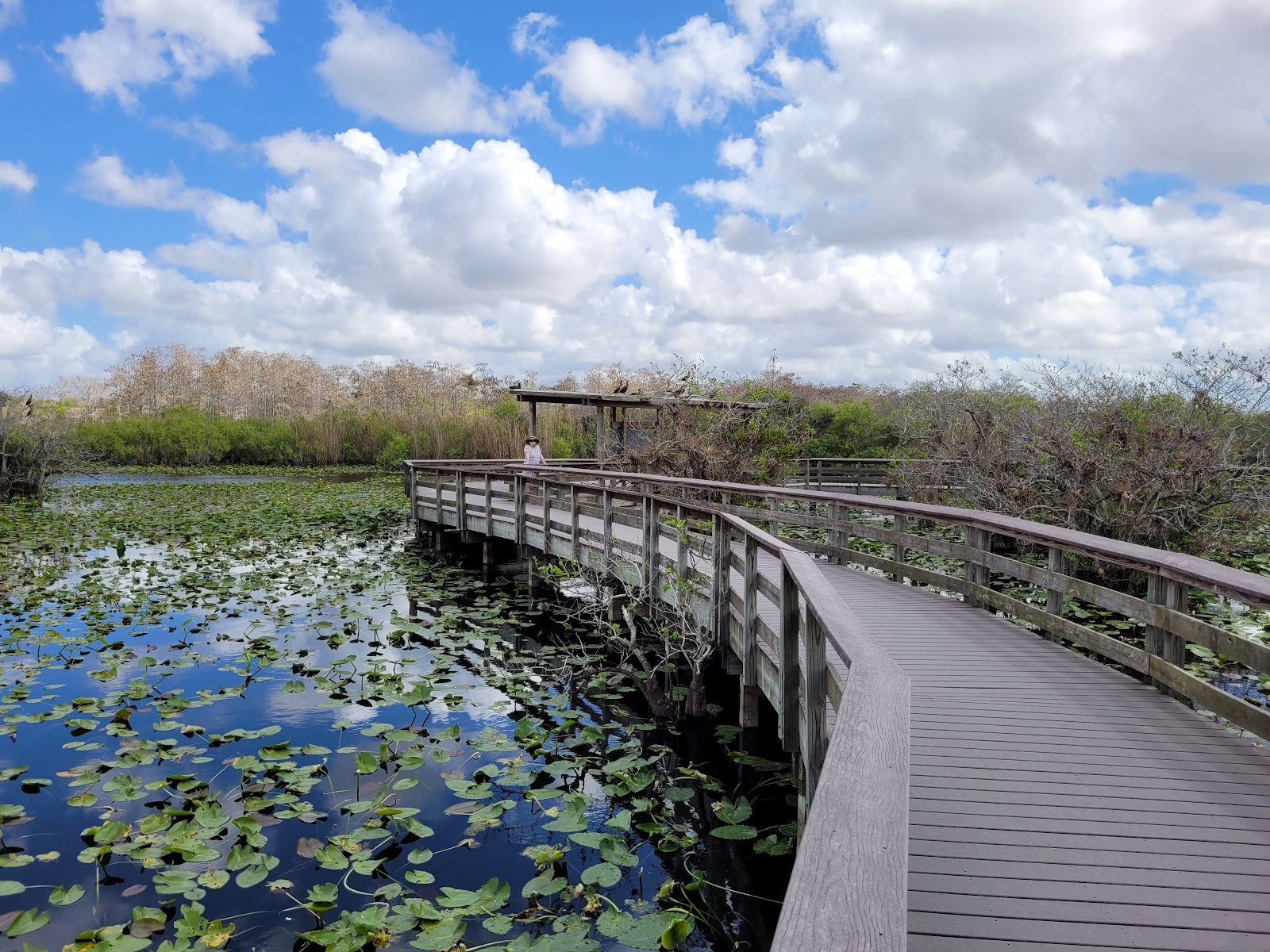 Backcountry Mormon Key - Everglades National Park
