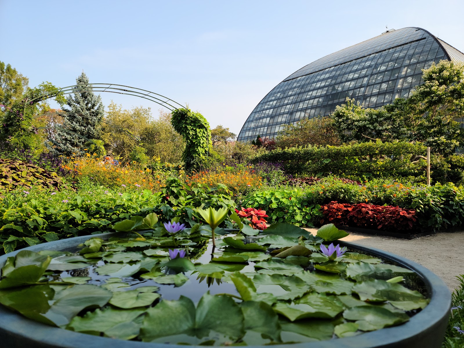 Garfield Park Conservatory