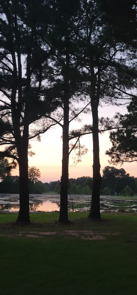 Paradise Valley Athletic Club