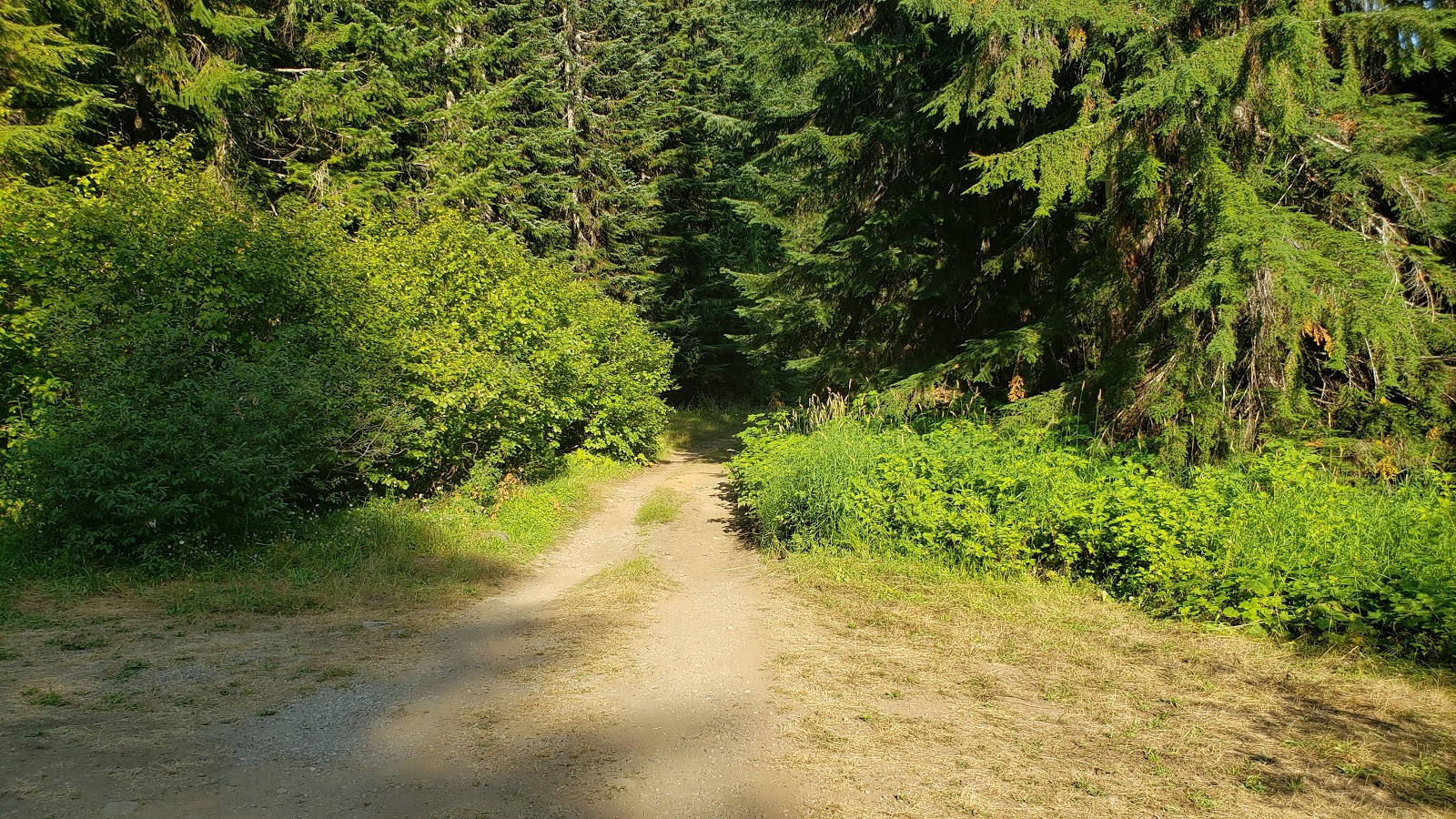 Soda Springs Campground