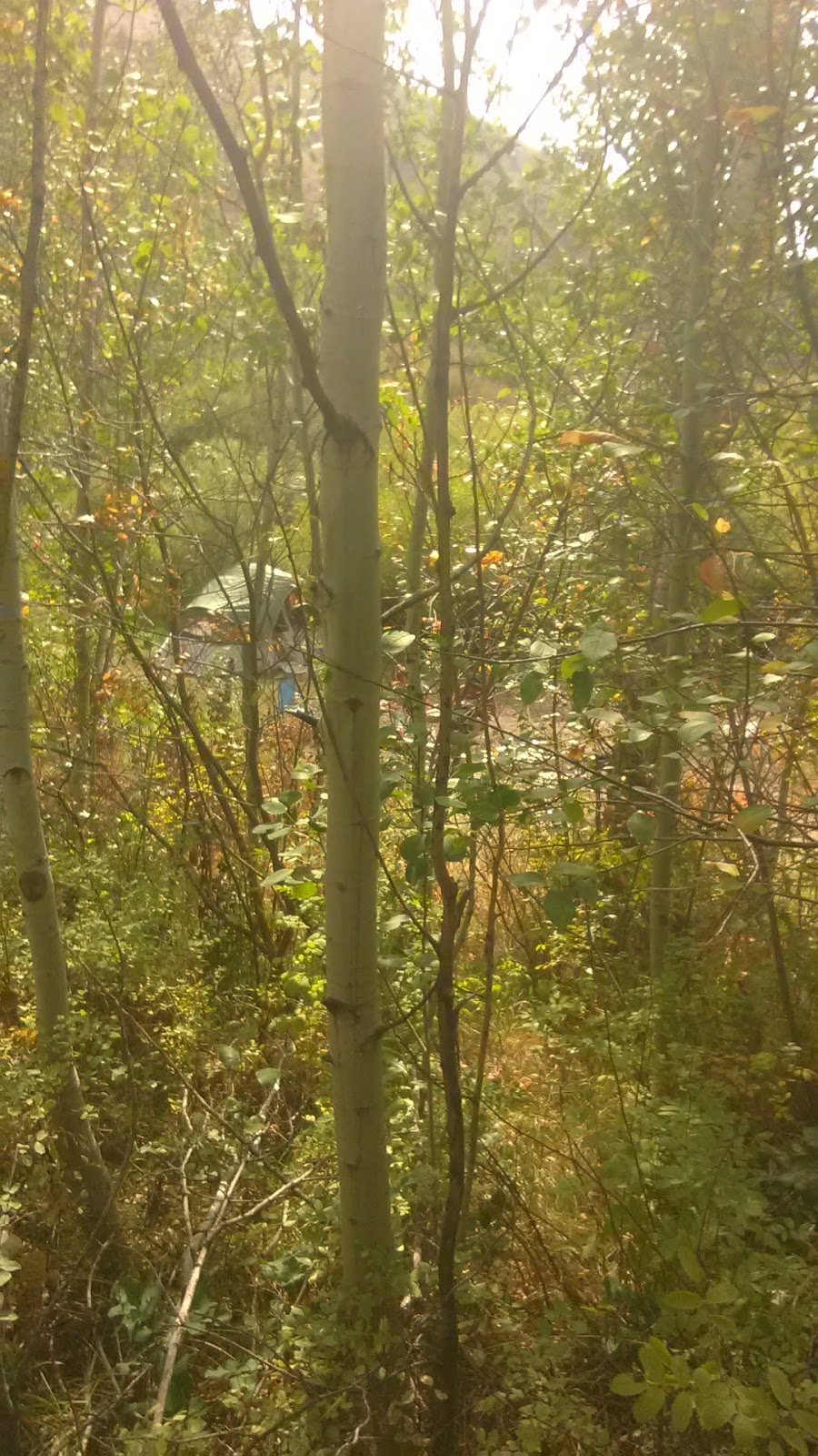 Sublett Creek Campground