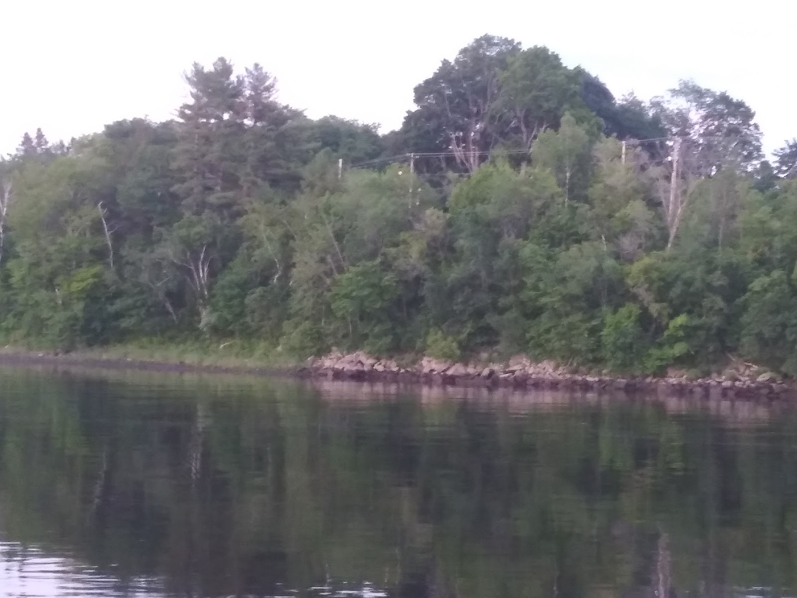 Foggy Bottom campground and marina