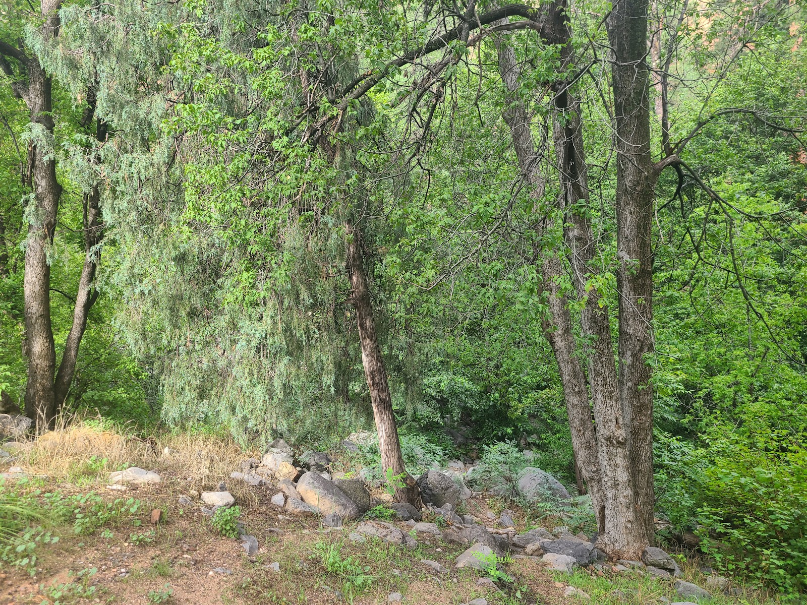 Pine Flat Campground West