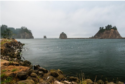 Last Chance Camp Equine and Rest Stop