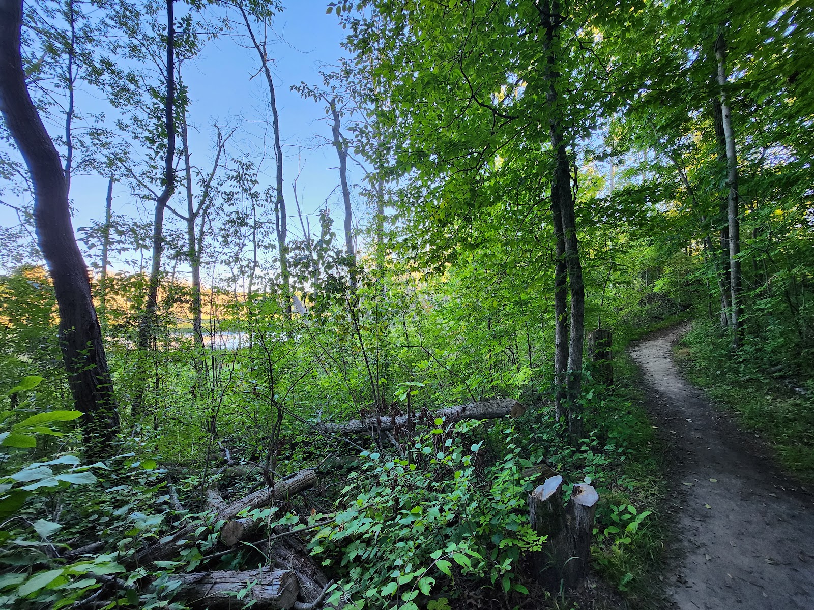 Long Lake - Kettle Moraine SF