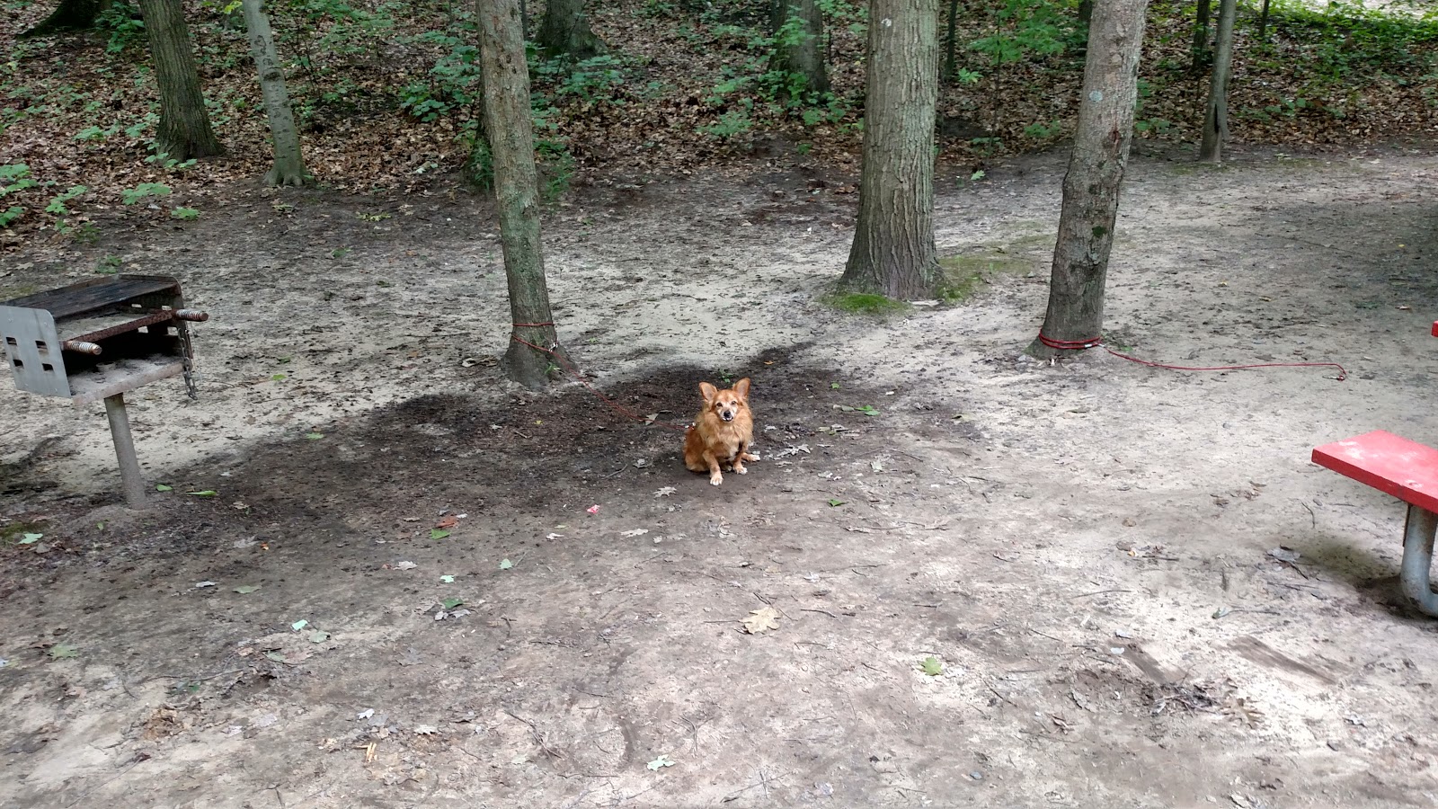 Mason County Campground