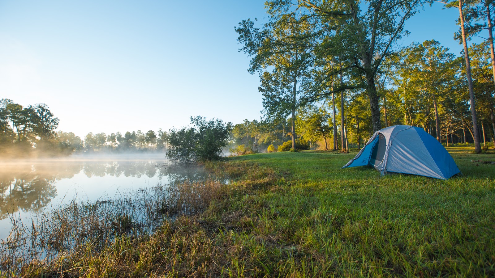 Charleston Woodlands