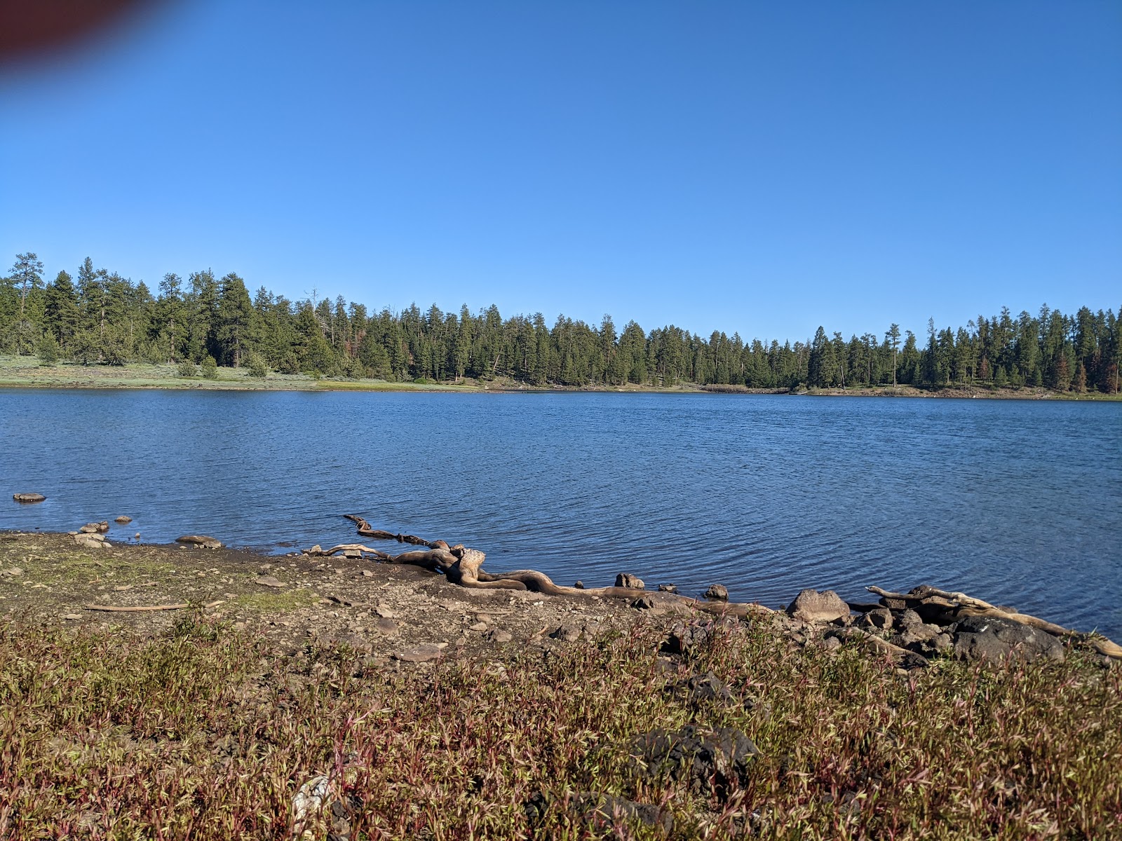 Delintment Lake Campground