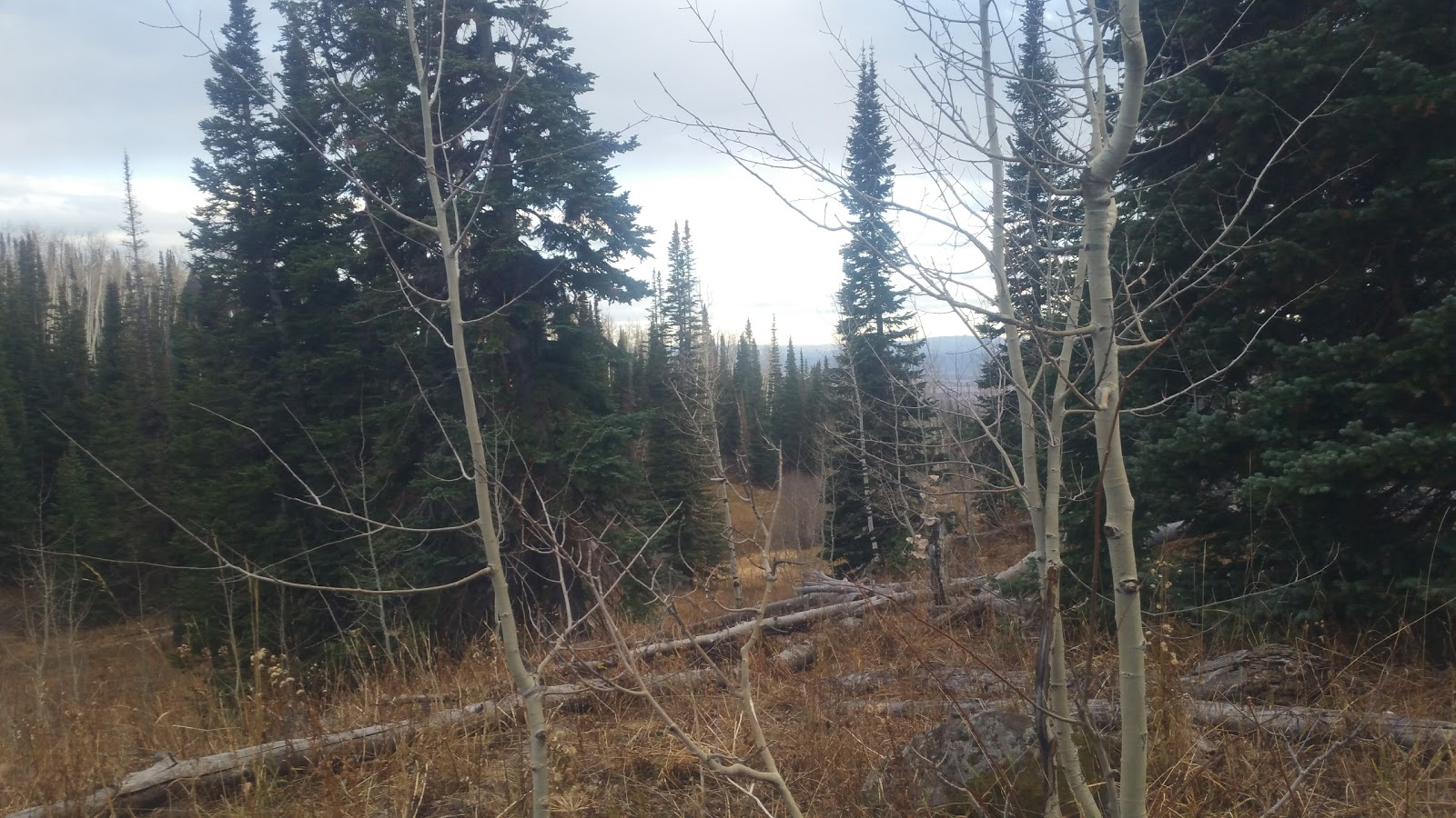 Freeman Reservoir Campground