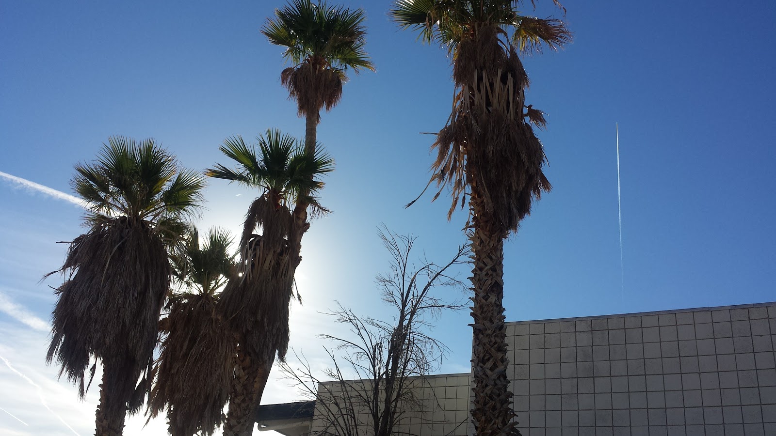 Echo Bay Resort - Lake Mead National Rec Area