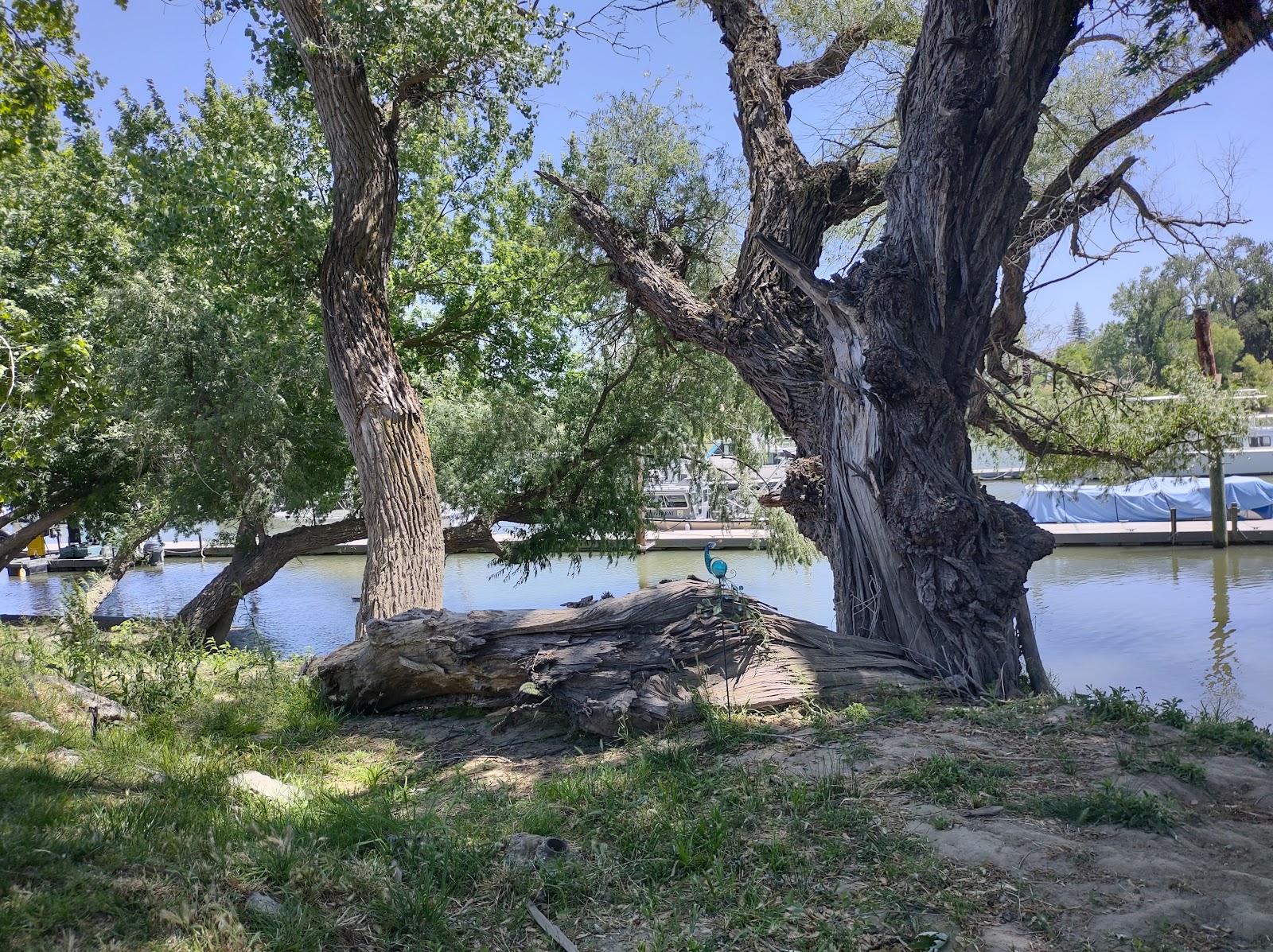 Sherwood Harbor Marina & RV Park