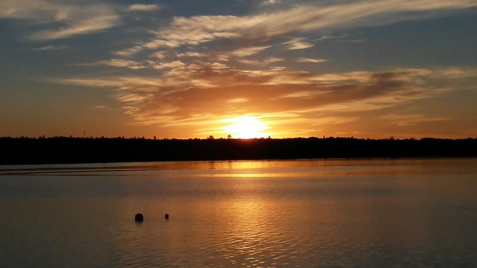 Wanderin Moose Campground