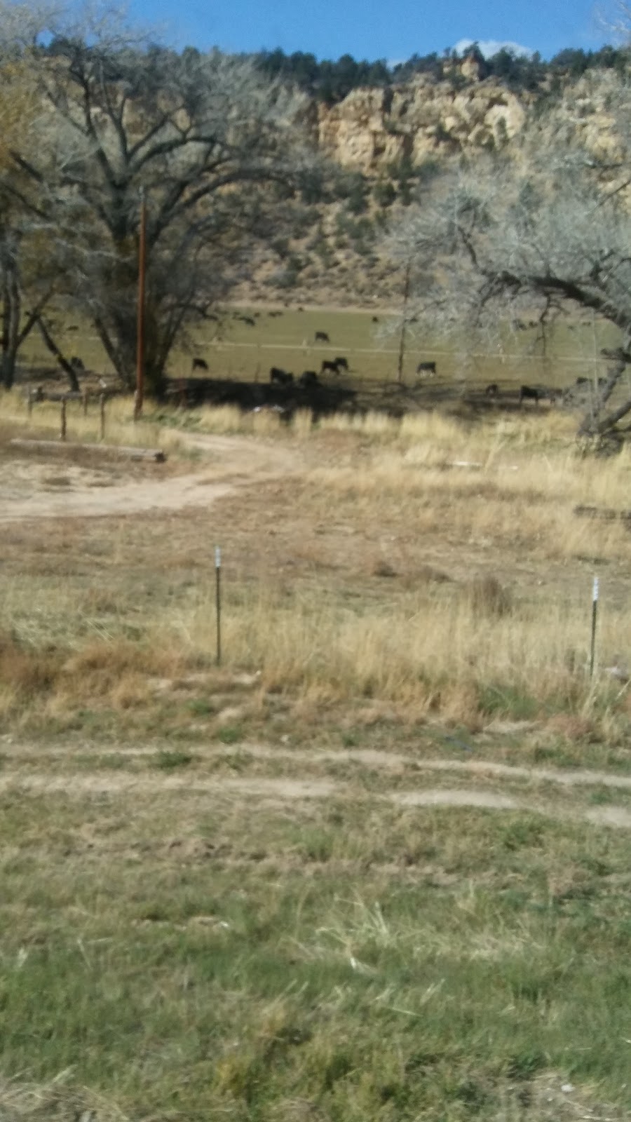 Tortoise and Hare Trailer Court