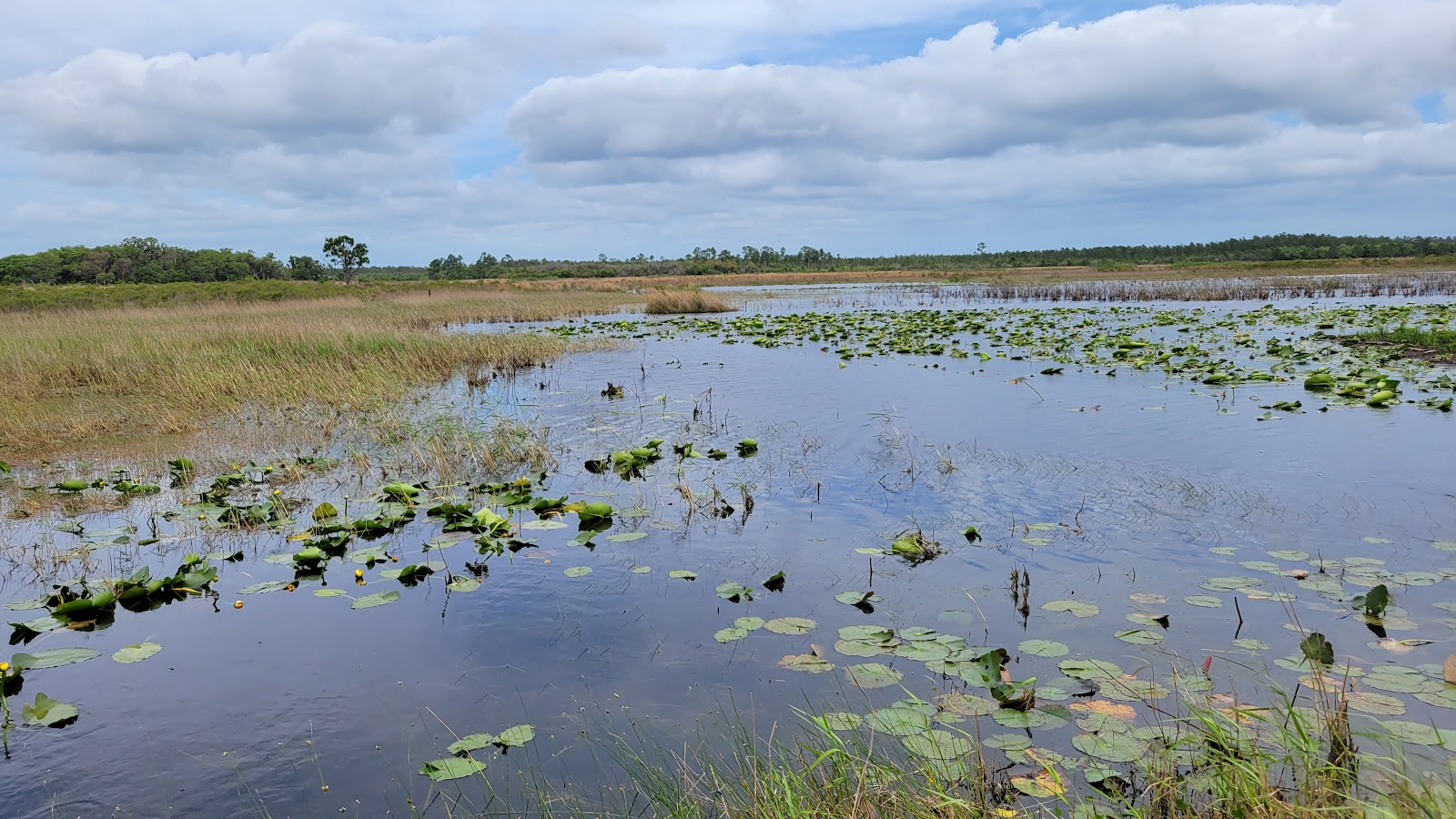 Hopkins Prairie NF Campground
